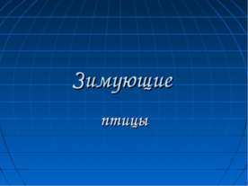Зимующие птицы