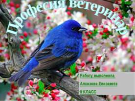 Професия ветеринар