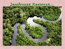 Загадочная Амазония
