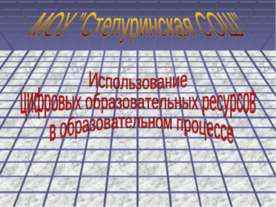 Использование цифровых образовательных ресурсов в образовательном процессе