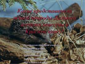 Какие представители живой природы Дальнего востока занесены в Красную книгу?