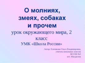О молниях, змеях, собаках и прочем (2 класс)
