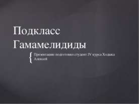 Подкласс Гамамелидиды