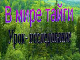 В мире тайги