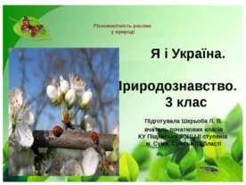 Різноманітність рослин у природі
