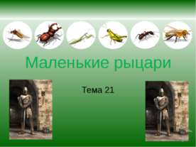 Маленькие рыцари