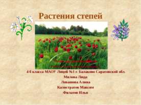 Растения степей