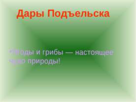 Дары Подъельска