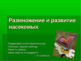 Размножение и развитие насекомых
