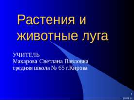 Растения и животные луга