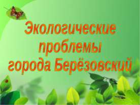 Экологические проблемы города Берёзовский