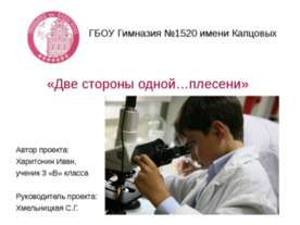 Две стороны одной…плесени