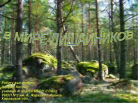 В мире лишайников