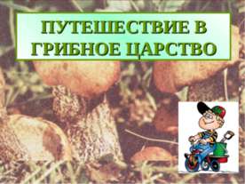 Путешествие в грибное царство