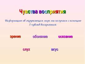 Чувства восприятия