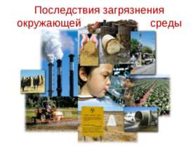 Последствия загрязнения окружающей среды