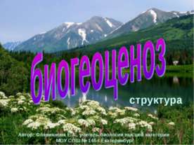 Биогеоценоз структура