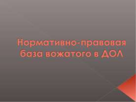 Нормативно-правовая база вожатого в ДОЛ