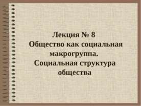 Общество как социальная макрогруппа. Социальная структура общества