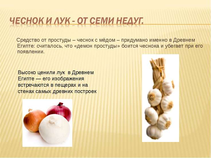 http://uslide.ru/images/20/26988/736/img3.jpg