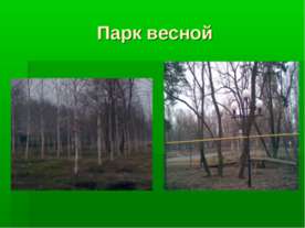 Парк весной