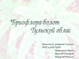 Бриофлора болот Тульской области