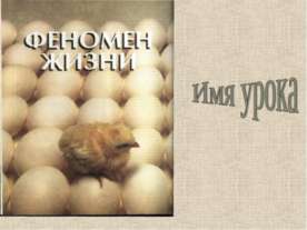Размножение и развитие птиц. Л/р «Изучение строения куриного яйца»