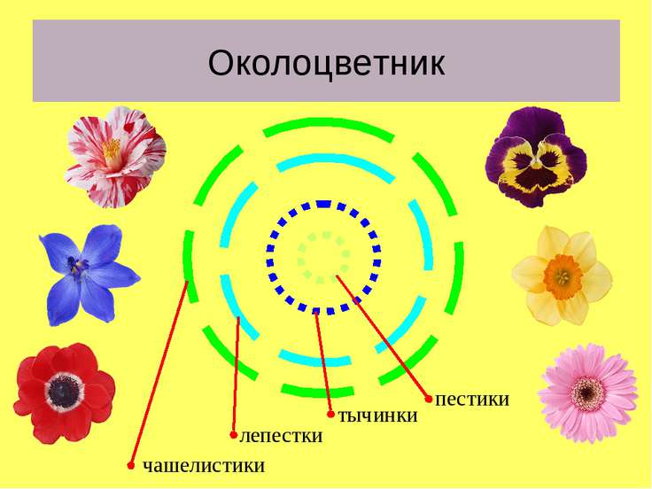 Подбор цветов для презентации