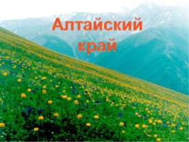 Алтайский край