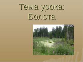 Болота