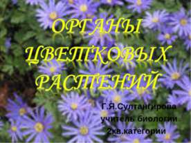 Органы цветковых растений