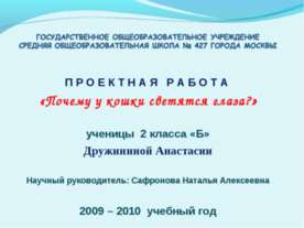 Почему у кошки светятся глаза?