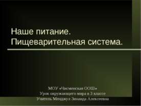 Наше питание. Пищеварительная система