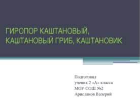 Гиропор каштановый, каштановый гриб, каштановик