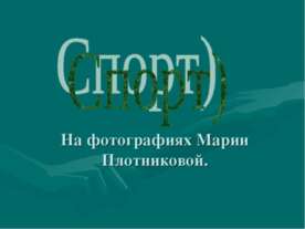 Спорт