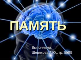 Память и ее виды