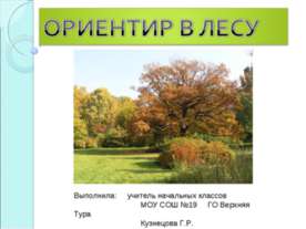 Ориентир в лесу