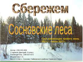 Сбережем Сосновские леса