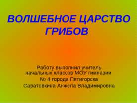 Волшебное царство грибов