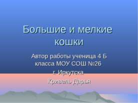 Большие и мелкие кошки