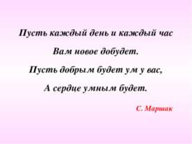 Пропорции