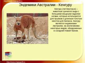 Эндемики Австралии - Кенгуру