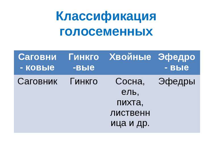 Решебник к голицынскому 7 издание онлайн