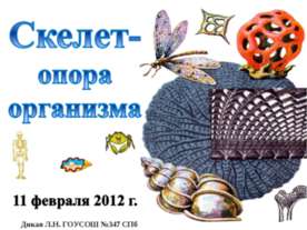 Скелет-опора организма