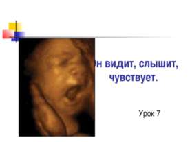 Он видит, слышит, чувствует