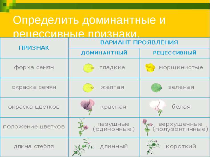 тетрадь для лабораторных работ по биологии для 10 класса скачать