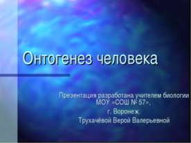 Онтогенез человека