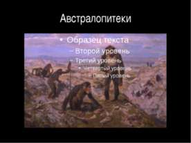 Австралопитеки