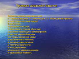 Многообразие видов, особенности строения пресмыкающихся, связанные со средой ...