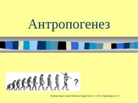 Антропогенез 11 класс